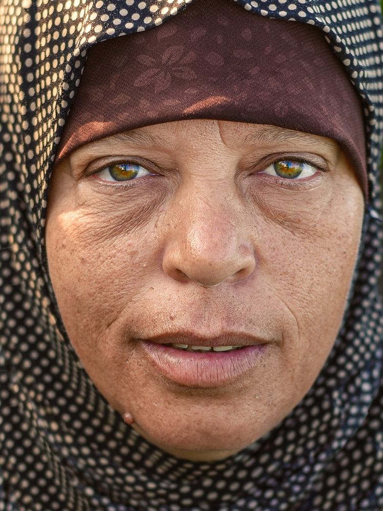 Фотография автора Hossam Konsowa