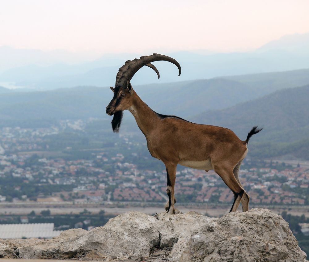 Photograph by Сергей Иванов