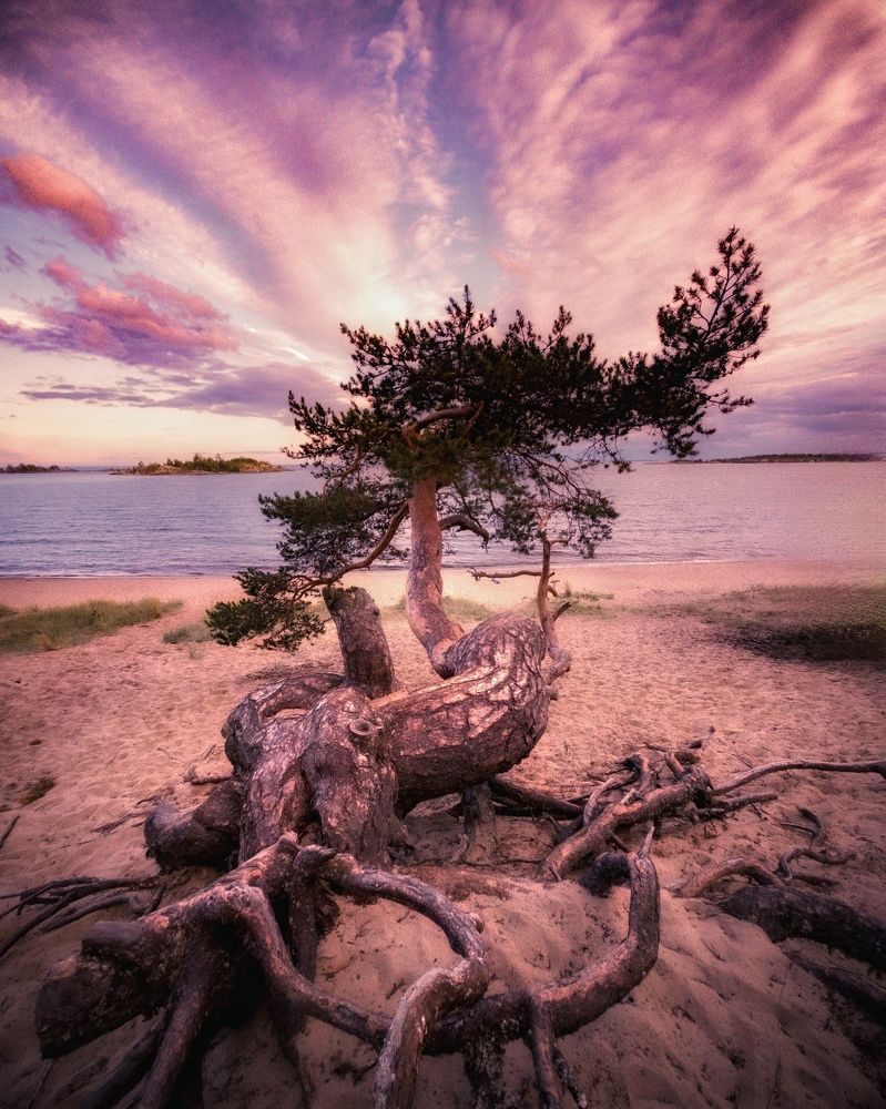 На берегу вечности