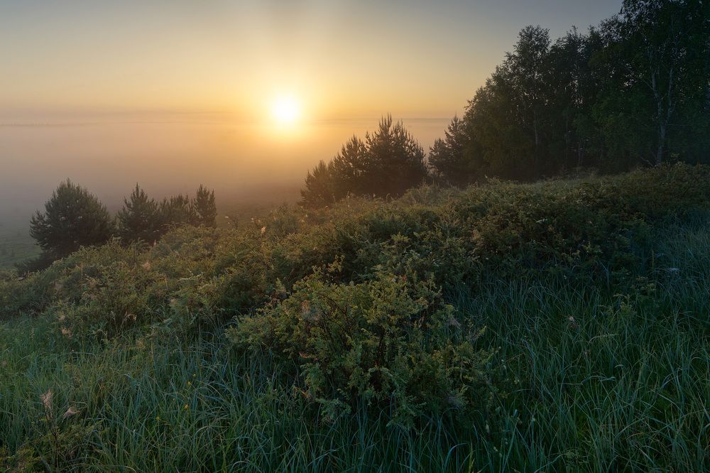 Photograph by Григорий Шалик