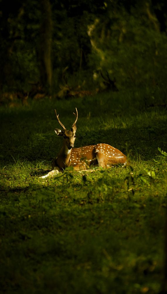 Photograph by SARAVANA MANICKAM