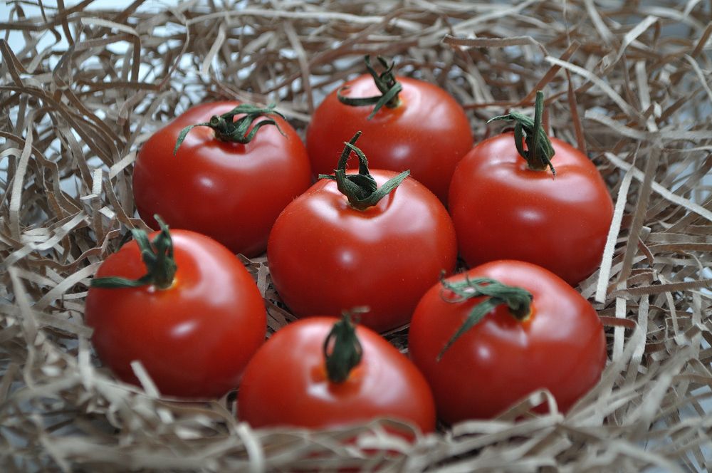 Photograph by Евгения Вакарчук