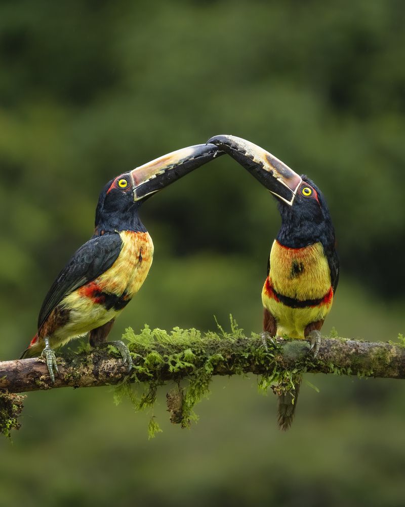 Фотография автора Saurabh Dhanorkar