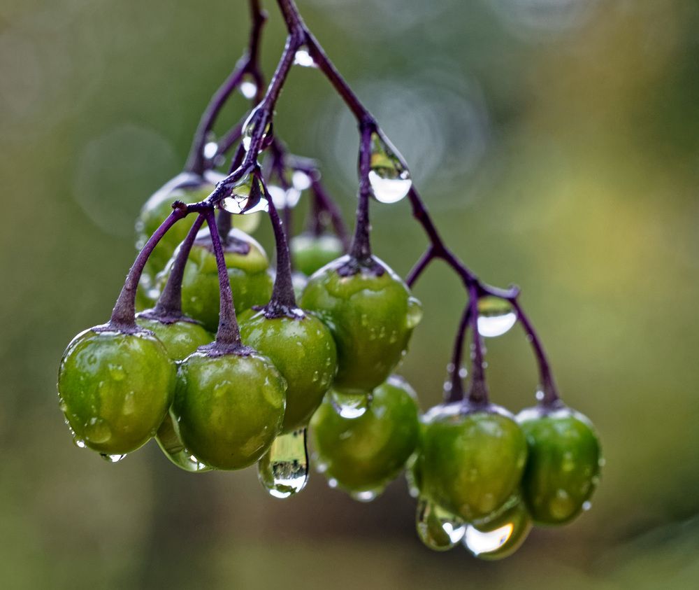 Дождливый день