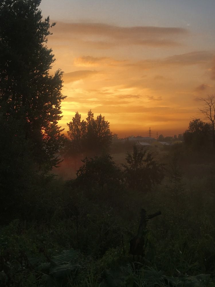Photograph by T.Ю. Гринько