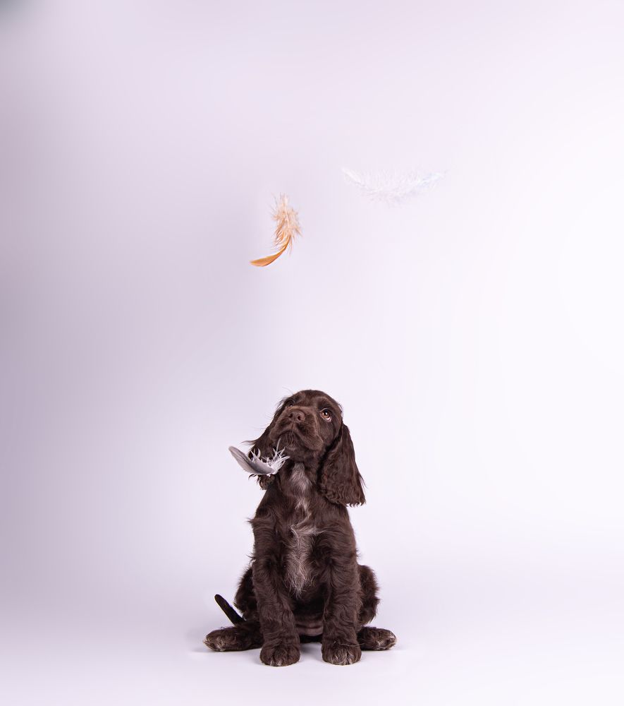 Photograph by наталья залогина