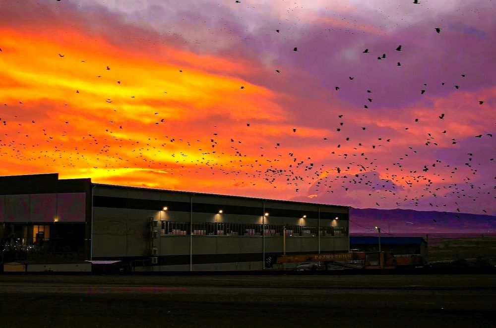 Photograph by Adam Yandiev