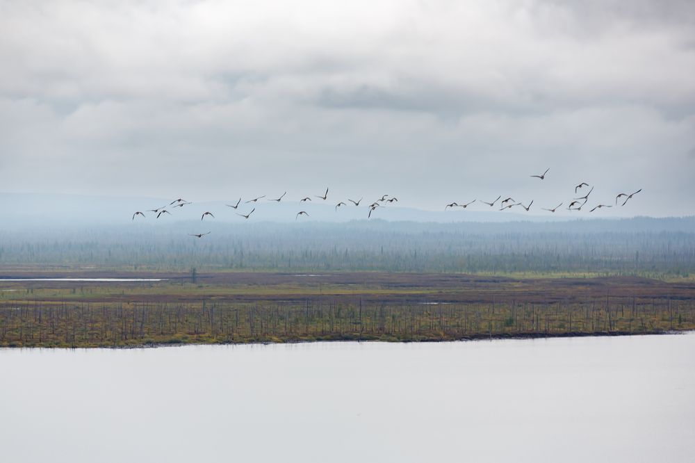 Photograph by Elena Doroshenko