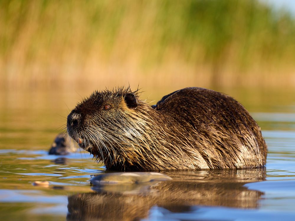 Photograph by Роман Гудзь
