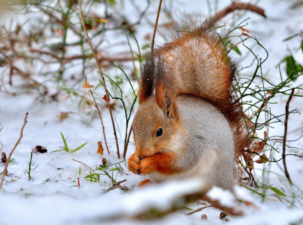 Photograph by Александр Зуев