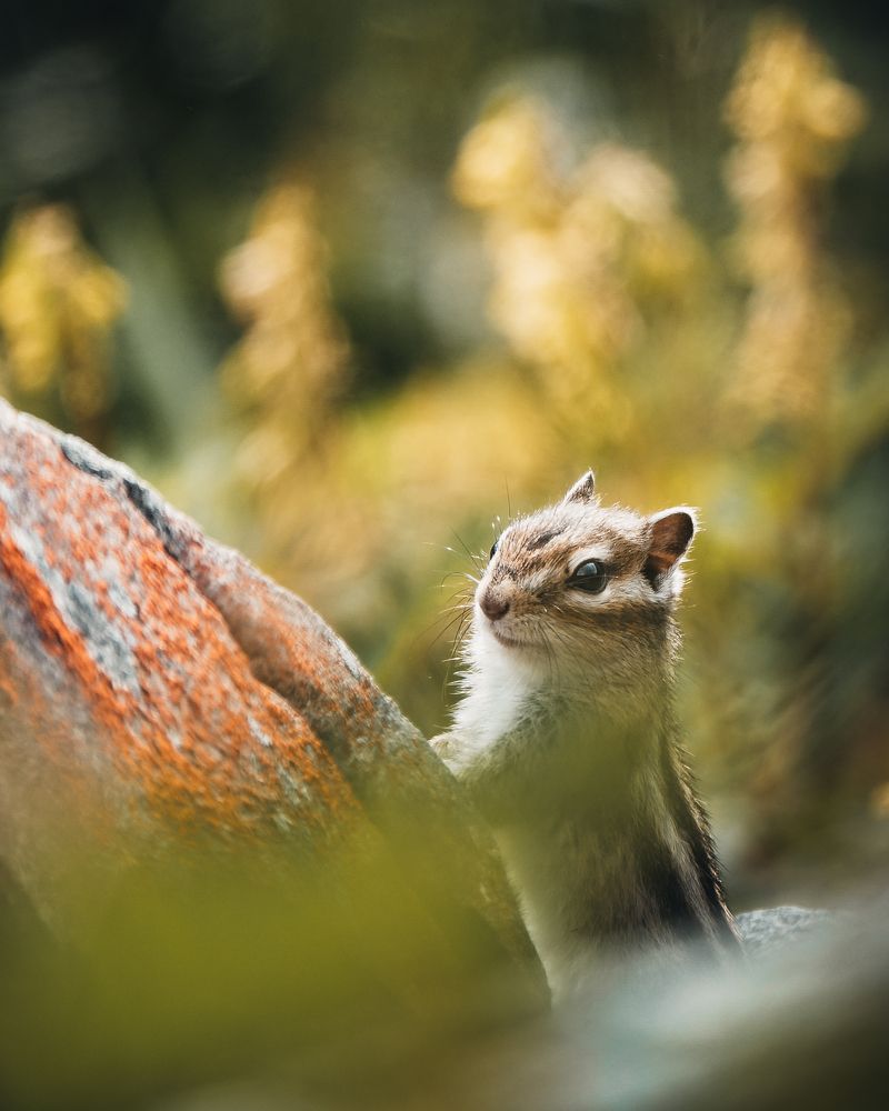 Фотография автора Андрей Иванов