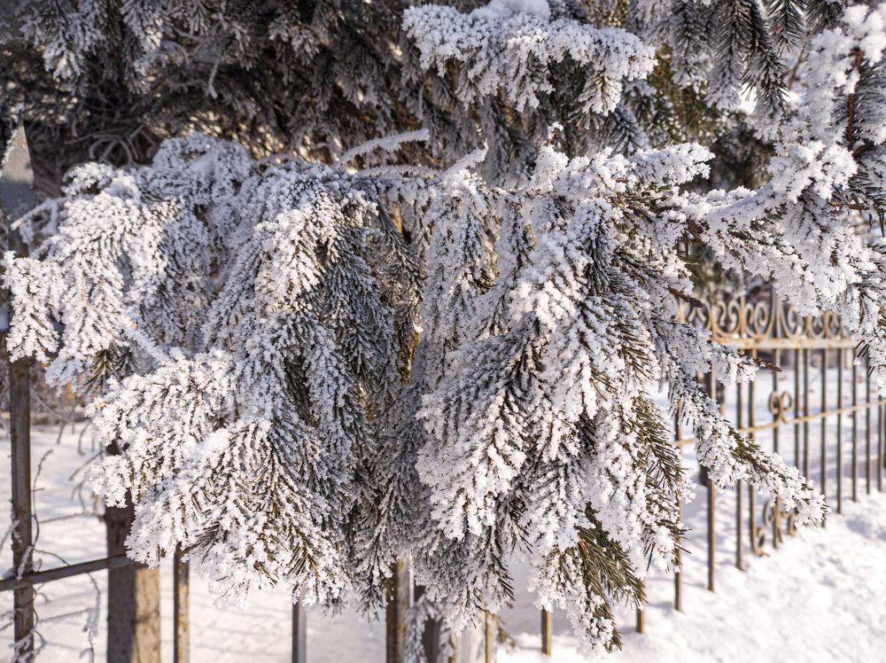 Зимней наряд.