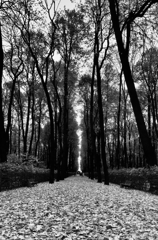 Photograph by Lesya Lambada