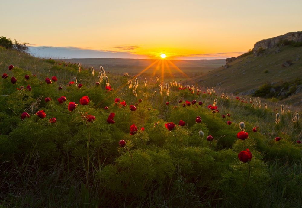Фотография автора Титов Сергей