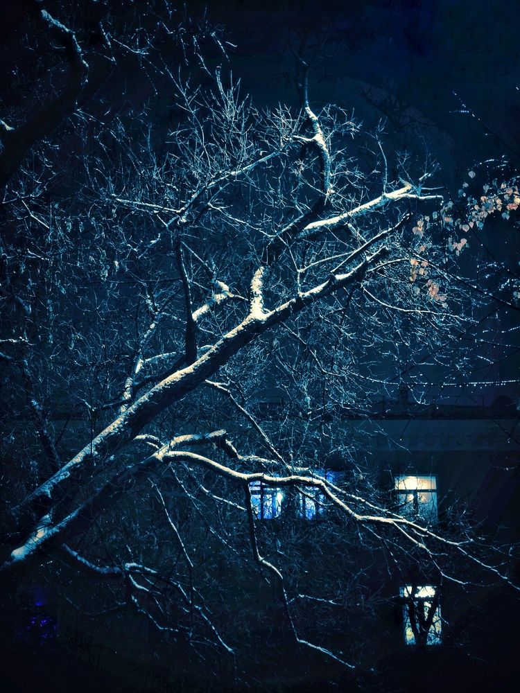 Photograph by Олеся Зеленщикова