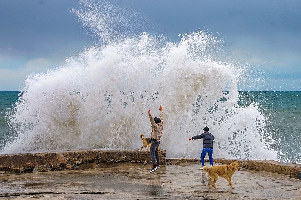 Восторгом встречая волну.