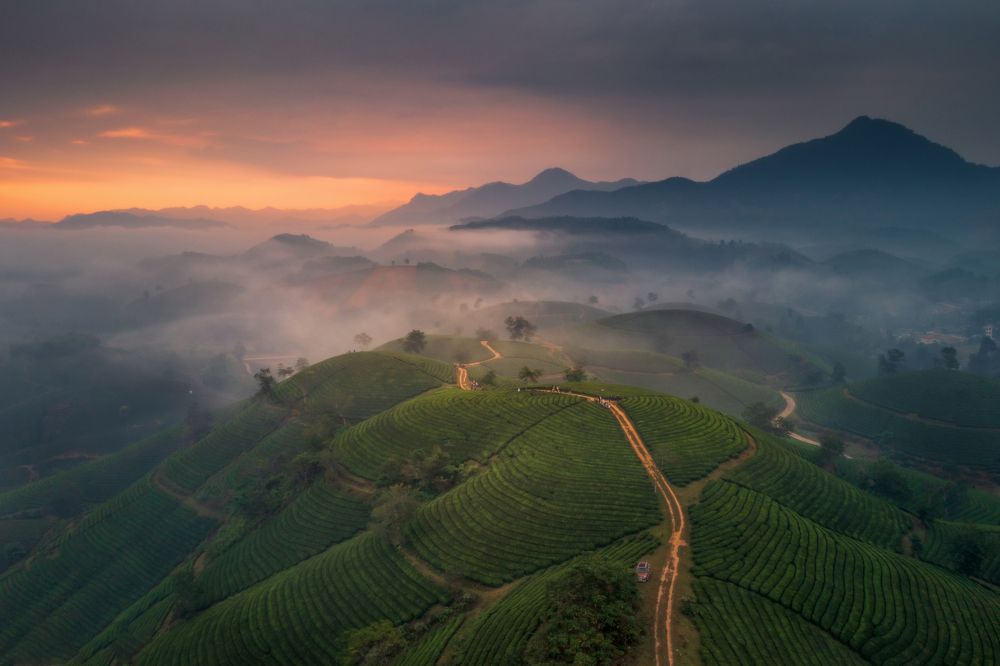 Photograph by Trần Anh Tuấn