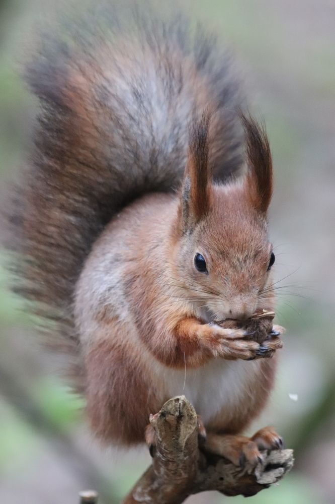 Photograph by Ivankina Elena