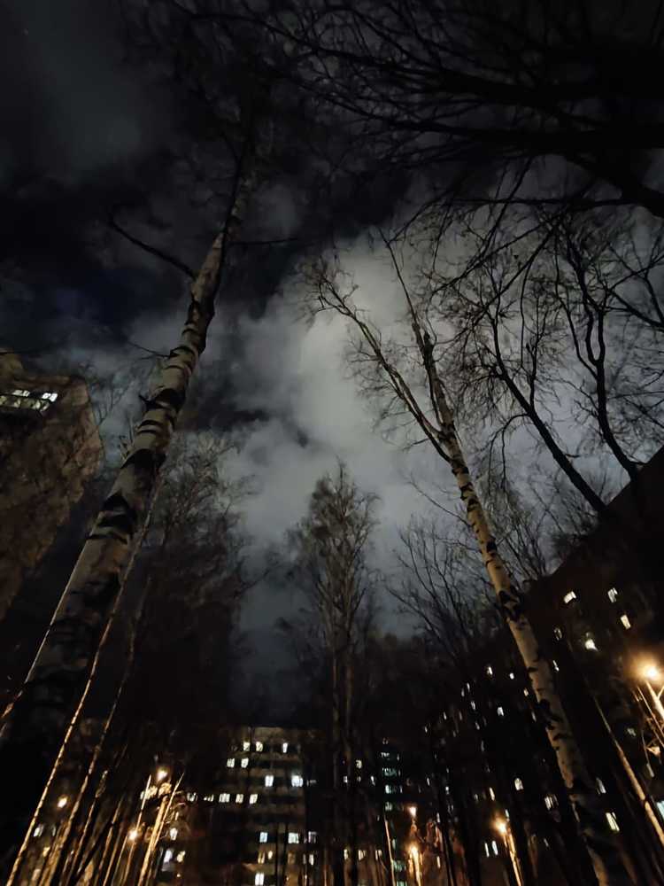 Photograph by Елена Юдина