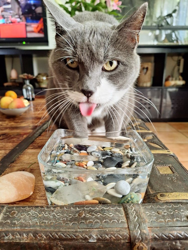 Photograph by Sonia Crotta