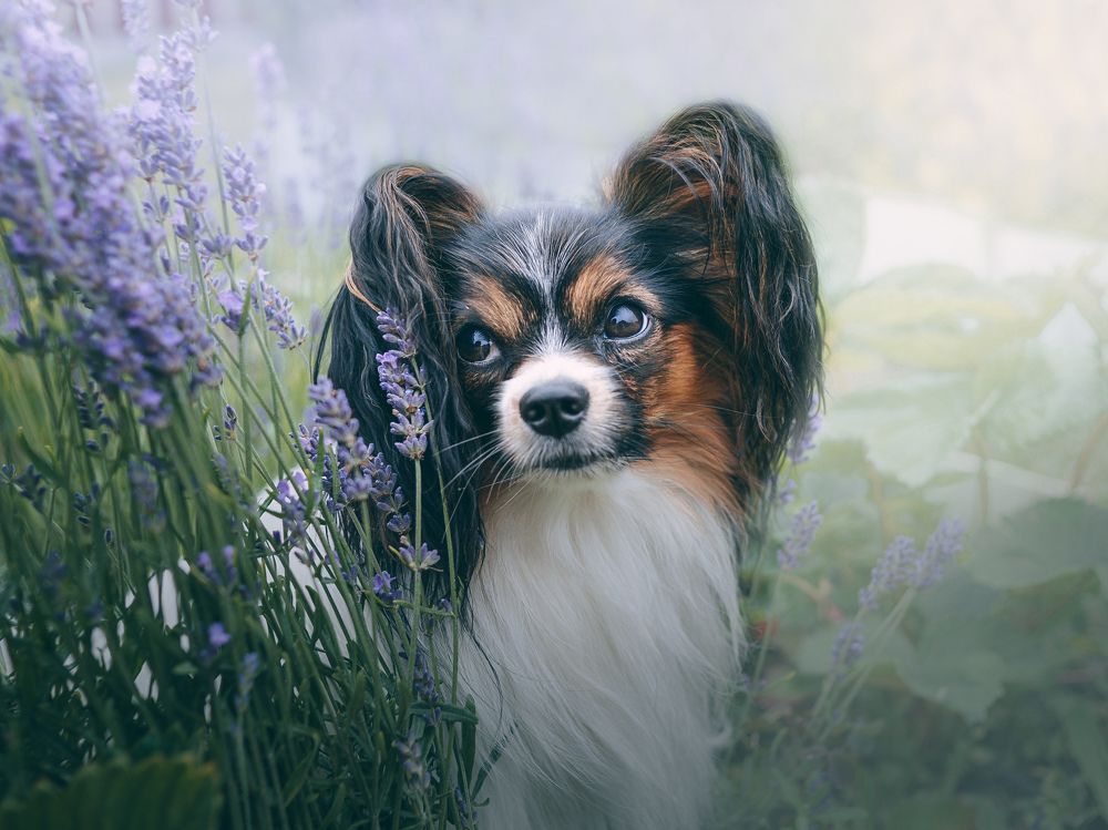 Photograph by Maria Filatova