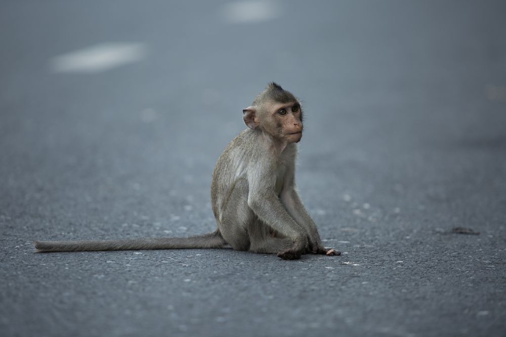 Photograph by Ксения