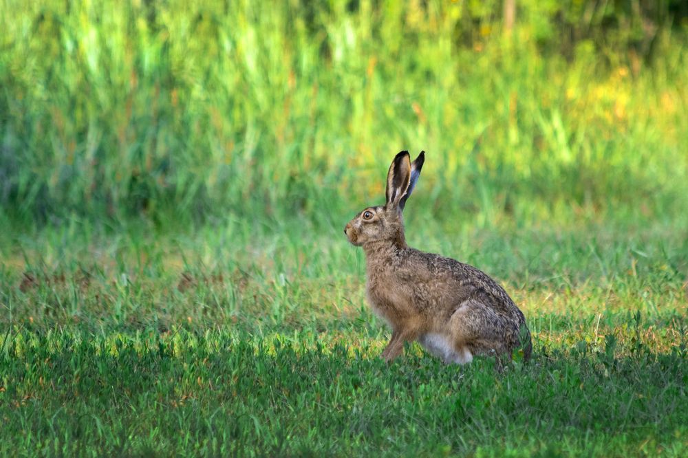 Photograph by Дмитрий Тимин