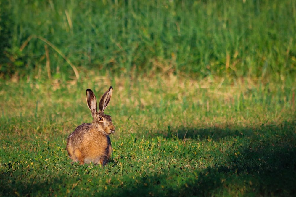 Photograph by Дмитрий Тимин