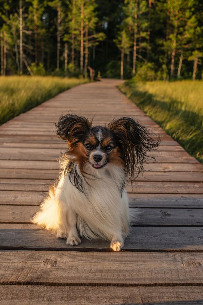 Photograph by Maria Filatova