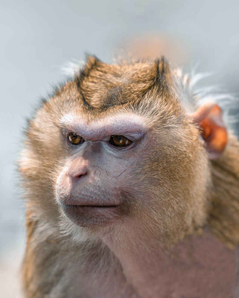 Photograph by Евгений Кучеренко