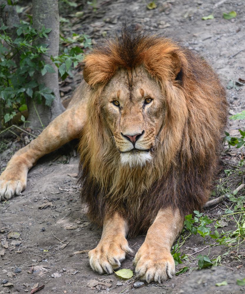 Photograph by Евгений Кучеренко