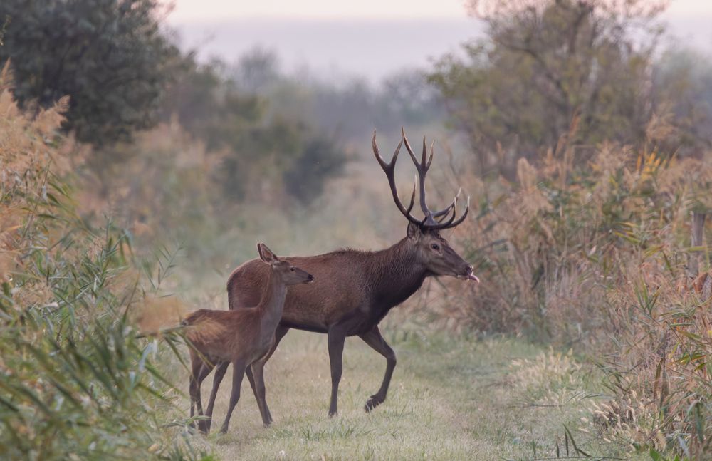 Photograph by George Alexandru Ghiuro