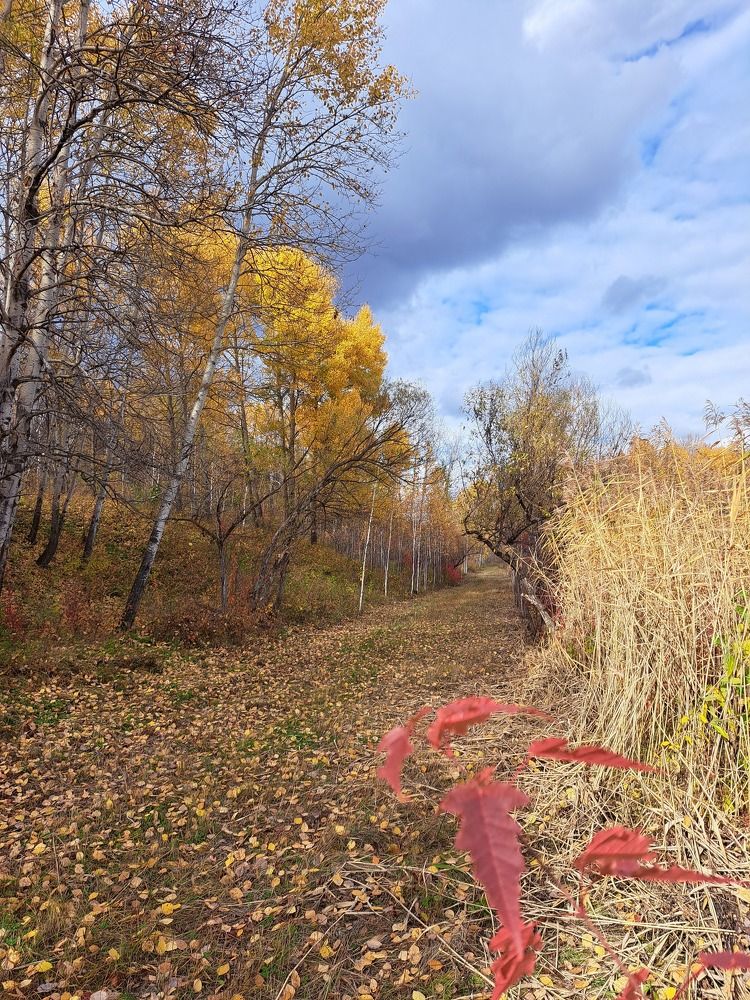 Photograph by Любовь Войтишина