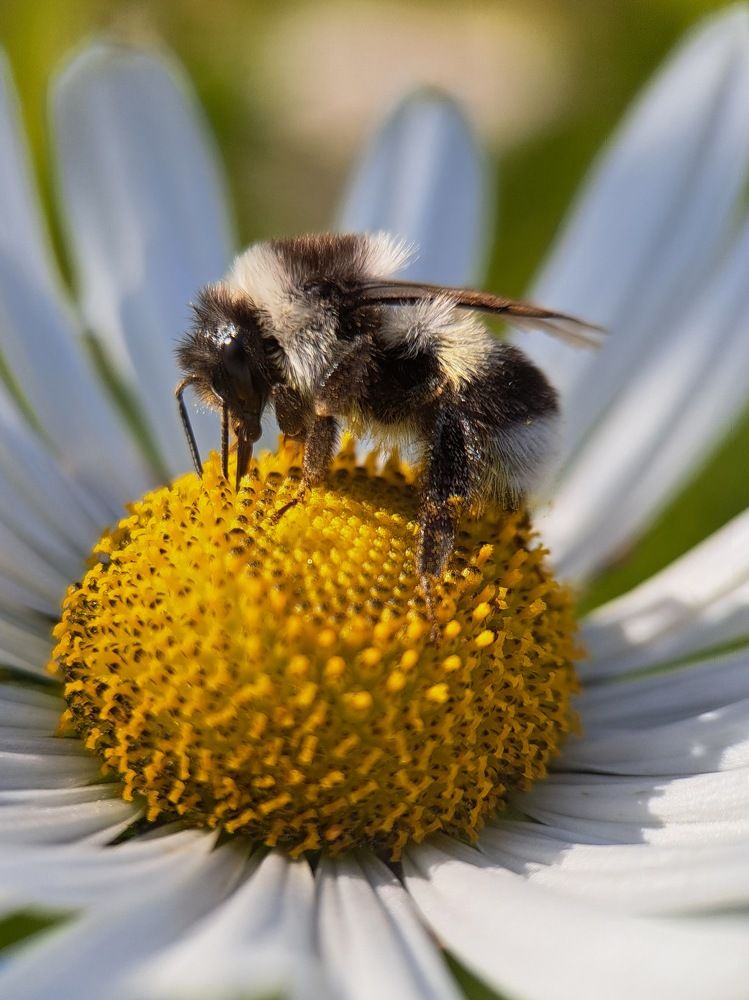 Photograph by Любовь Войтишина