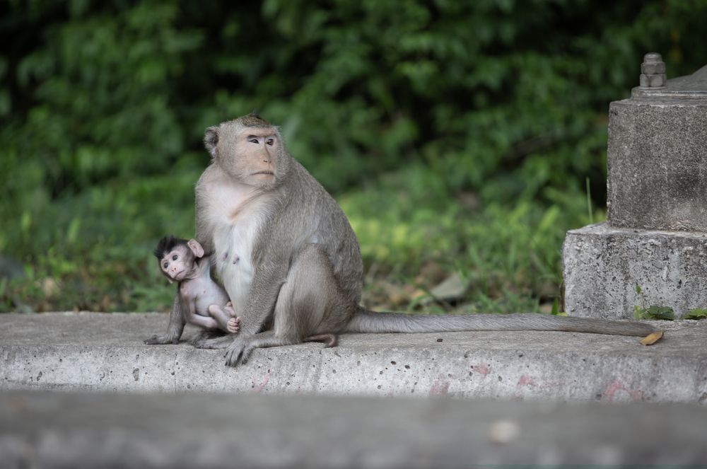 Photograph by Ксения