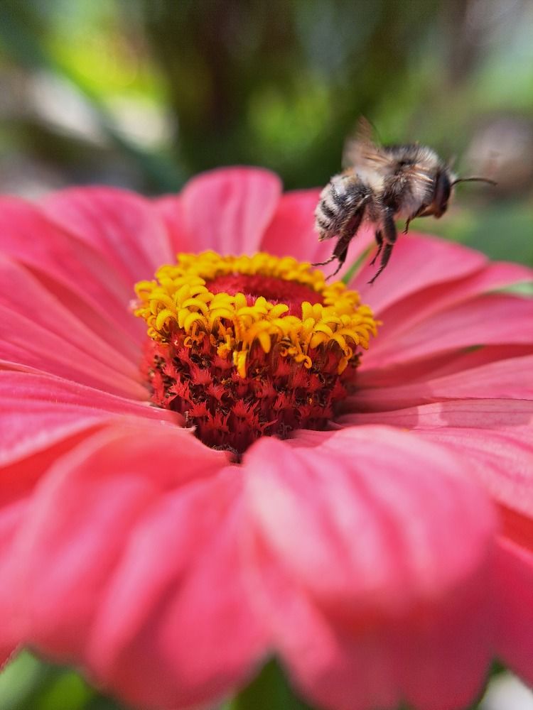 Photograph by Любовь Войтишина