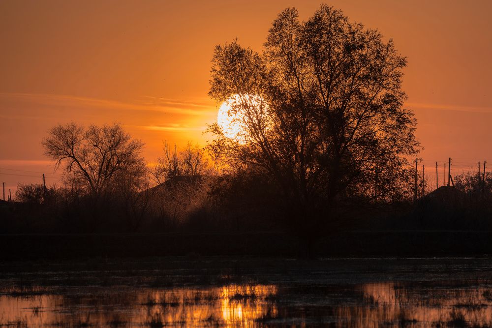 Photograph by Сергей Басов