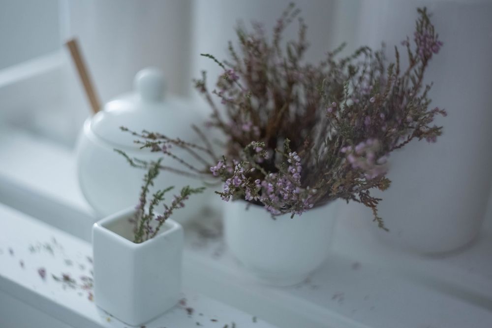 Photograph by Елена Хорохорина