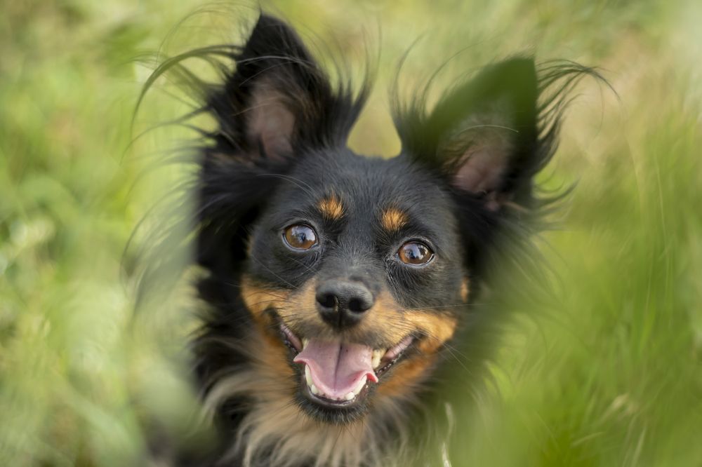 Photograph by Юлия Куликова