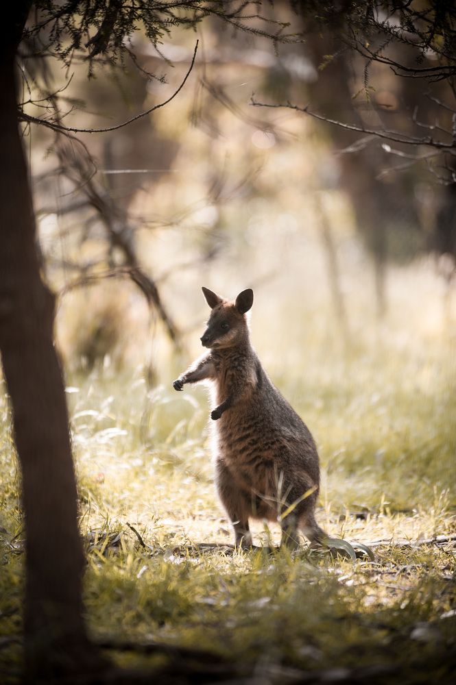 Photograph by Станислав Дроздов