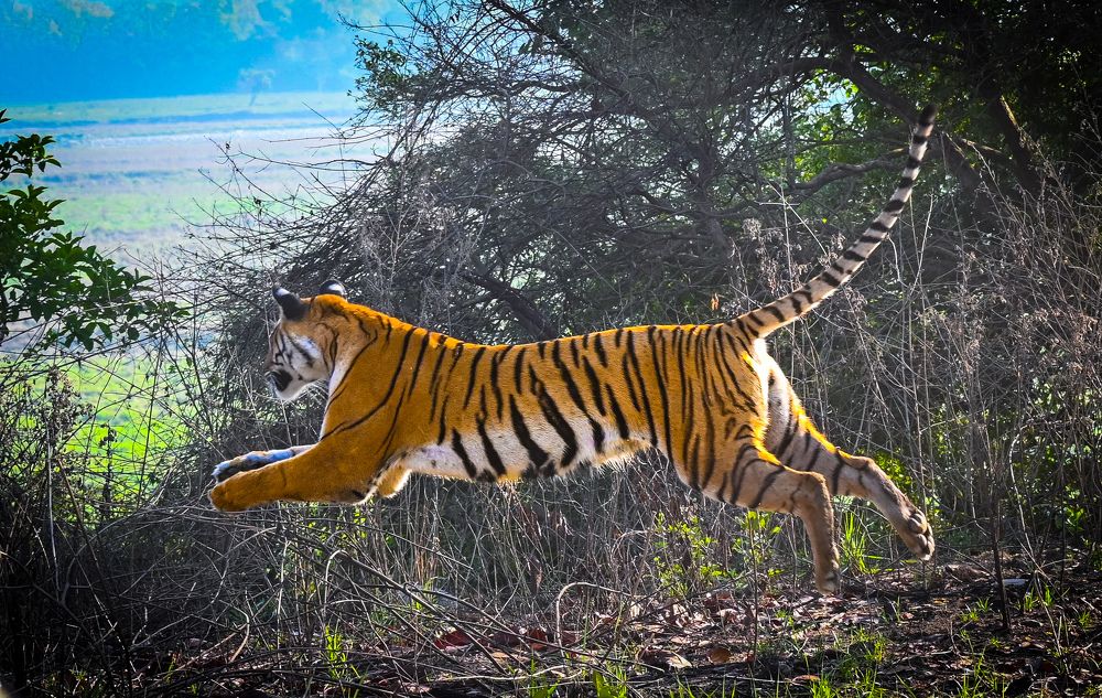 Photograph by Nirup Datta