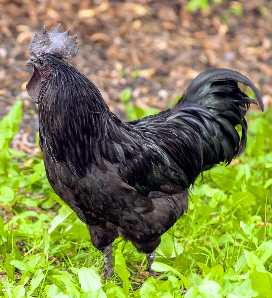 Photograph by Сергей Балухта