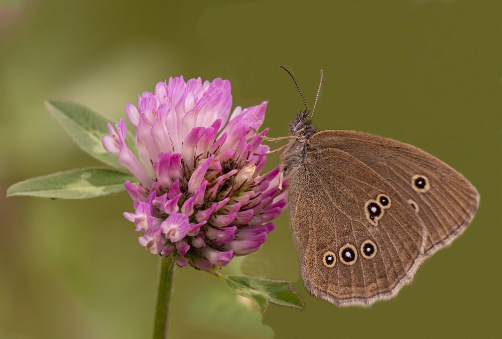 Photograph by Екатерина Бурикова