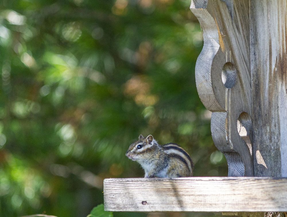 Photograph by Татьяна Раковская
