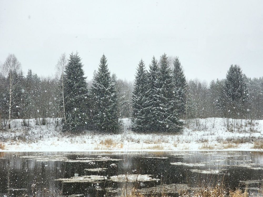 Фотография автора Соколова Ксения
