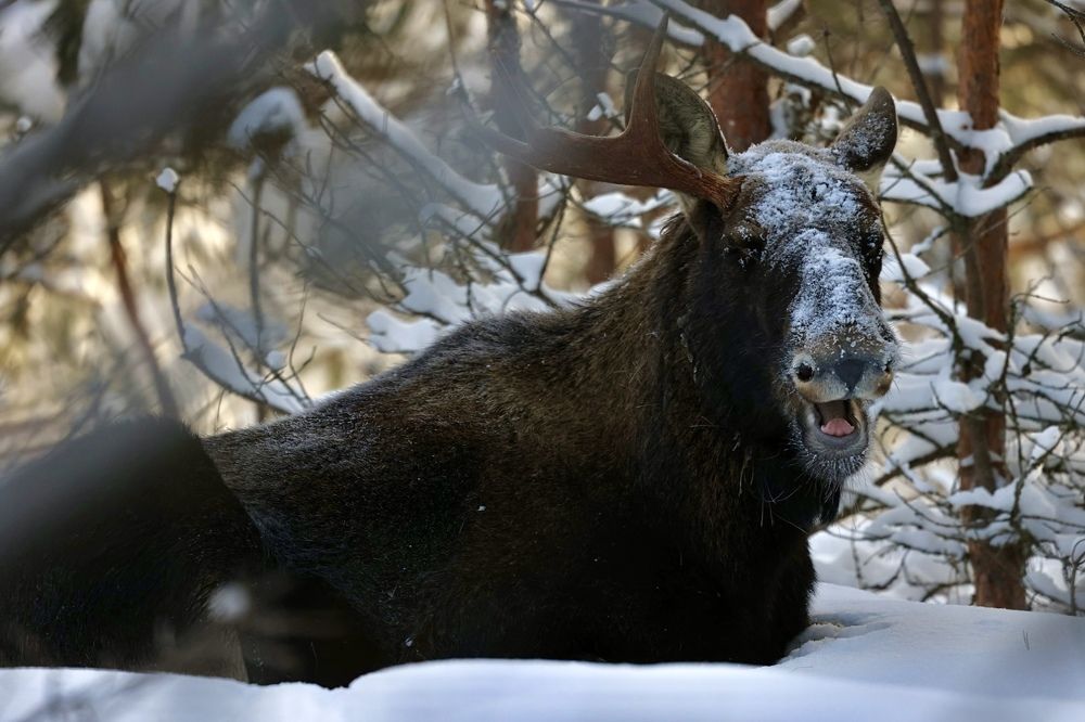 Photograph by Ольга Одаренко