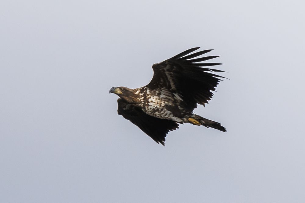 Фотография автора Артур Петросян