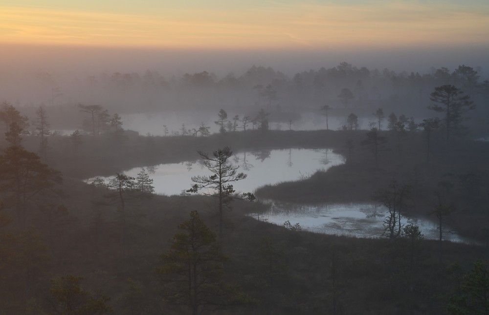 Photograph by IJA REIMAN