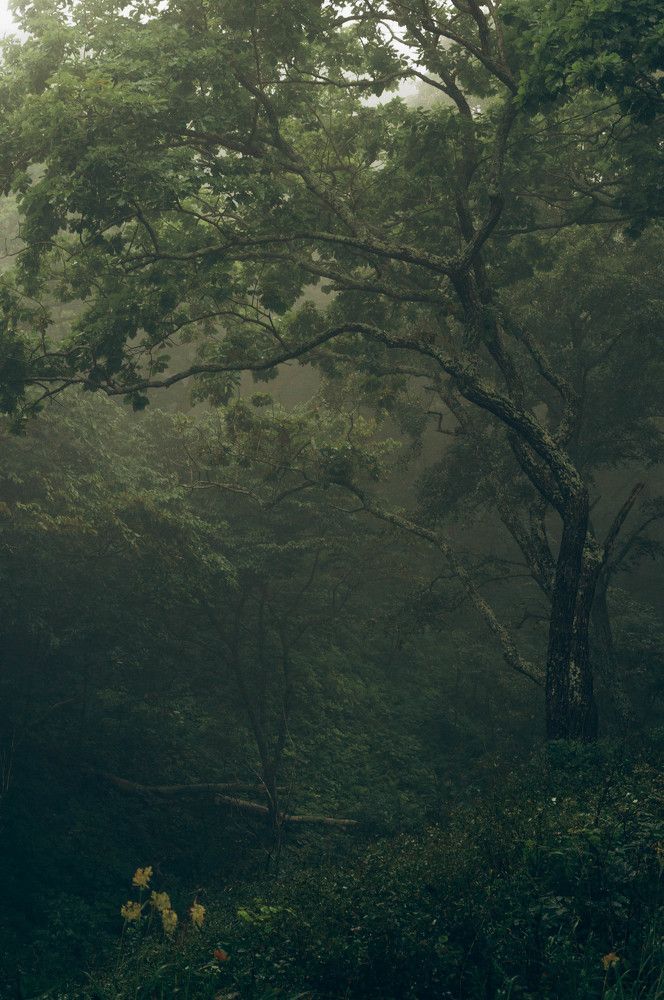 Фотография автора Оксана Вальянина