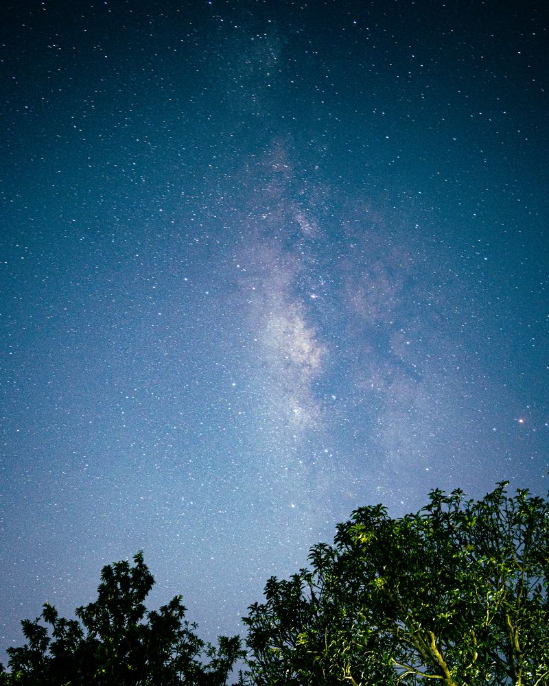 Photograph by GOVIND VISWANATH